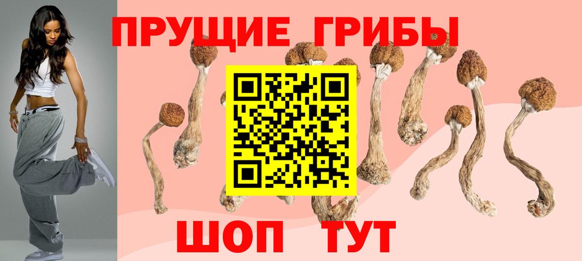 Галлюциногенные грибы Magic Shrooms  Вход с VPN  Озёрск 